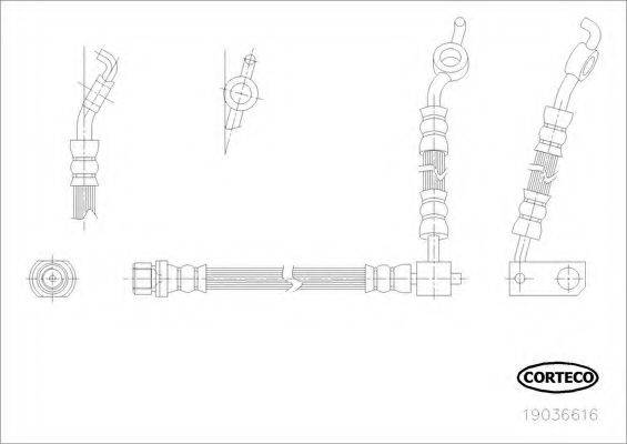 CORTECO 19036616 Гальмівний шланг