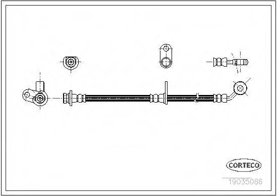 CORTECO 19035086 Гальмівний шланг