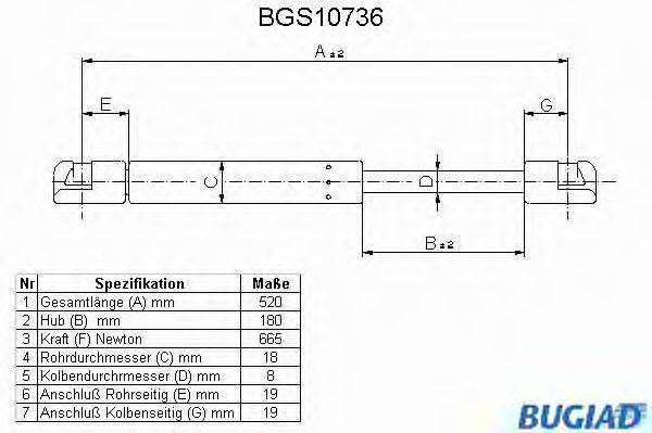 BUGIAD BGS10736