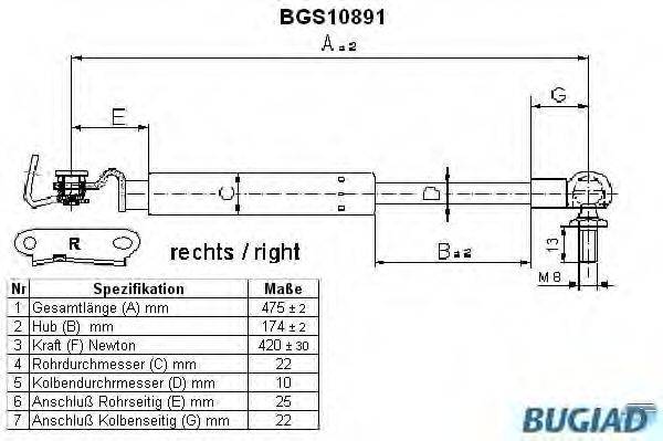 BUGIAD BGS10891