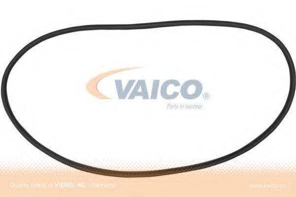 VAICO V10-0889