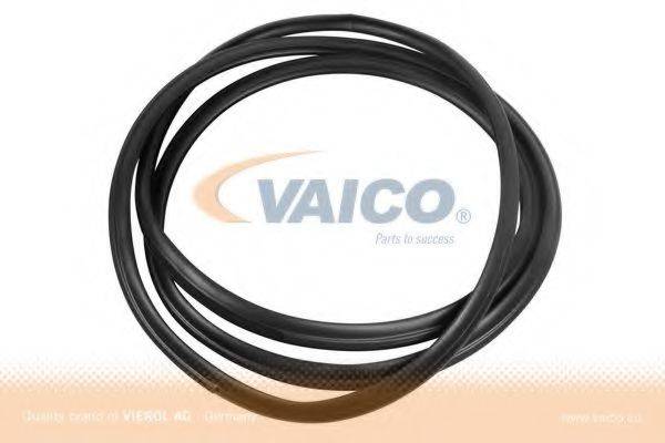 VAICO V301565 Прокладка, задні двері багажника / приміщення для вантажу