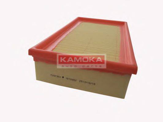 KAMOKA F207301