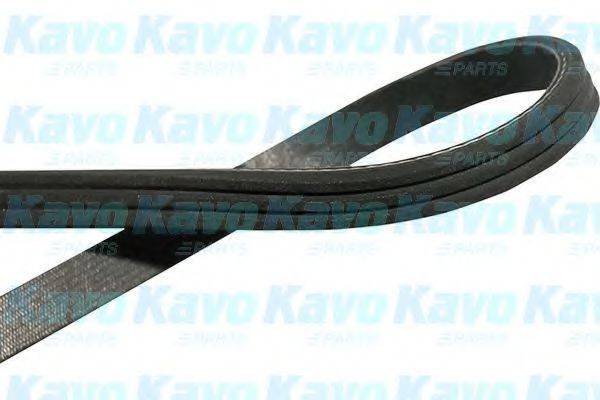 KAVO PARTS DMV1514 Полікліновий ремінь