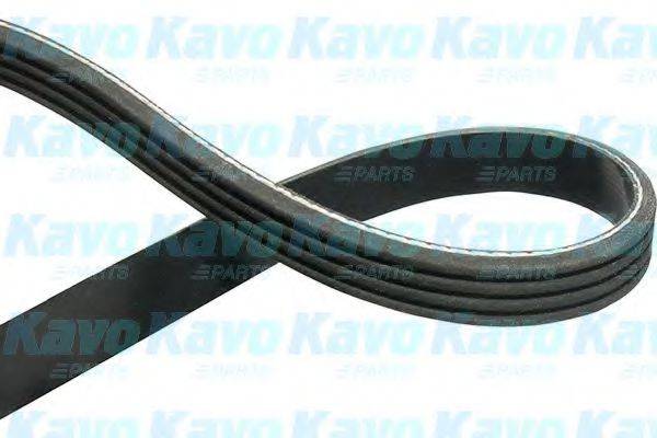 KAVO PARTS DMV9016 Полікліновий ремінь