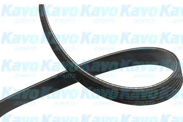 KAVO PARTS DMV9108 Полікліновий ремінь