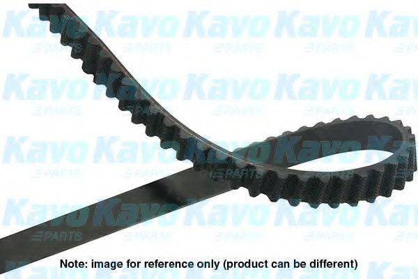 KAVO PARTS DTB8521 Ремінь ГРМ