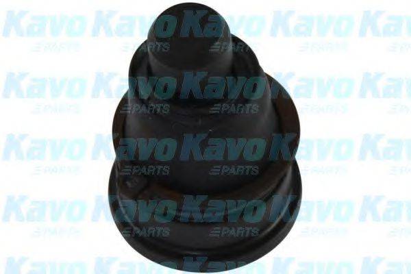 KAVO PARTS SBJ-6561