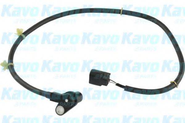 KAVO PARTS BAS5543 Датчик, частота обертання колеса