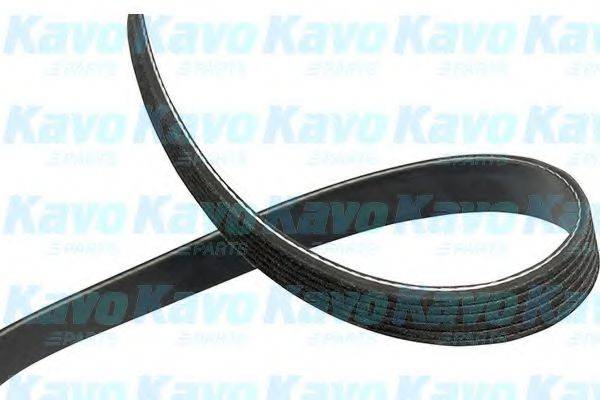 KAVO PARTS DMV-1035