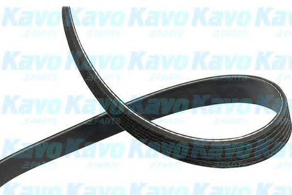 KAVO PARTS DMV1539 Полікліновий ремінь