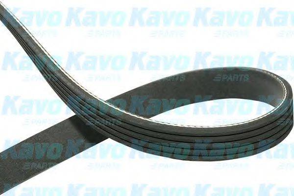 KAVO PARTS DMV8528 Полікліновий ремінь