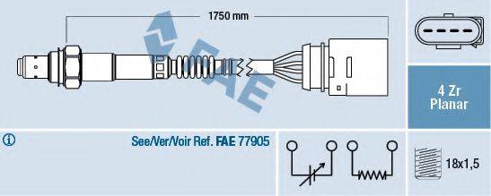 FAE 77146