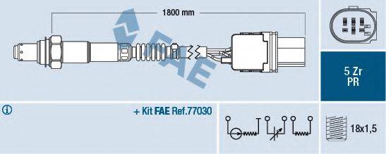 FAE 75054