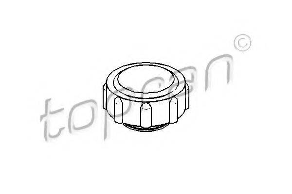 BMW 4 379 047 Кришка, резервуар охолоджувальної рідини