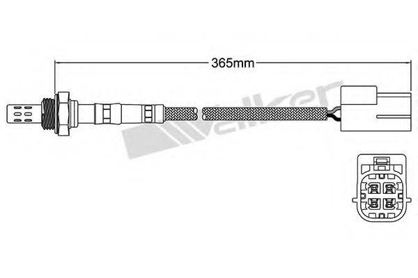 WALKER PRODUCTS 250-24437