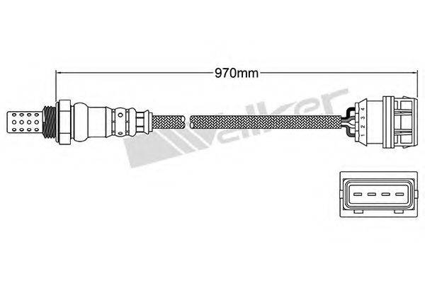 WALKER PRODUCTS 250-24428