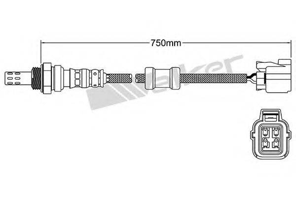 WALKER PRODUCTS 25024756 Лямбда-зонд