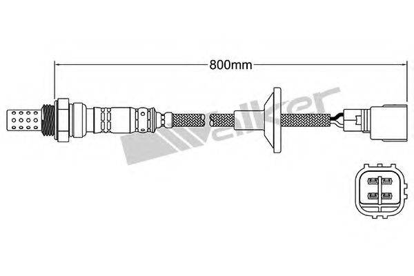 WALKER PRODUCTS 25024839 Лямбда-зонд