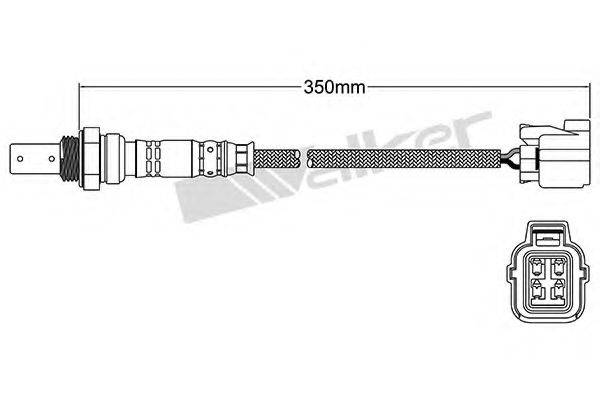 WALKER PRODUCTS 25054055 Лямбда-зонд