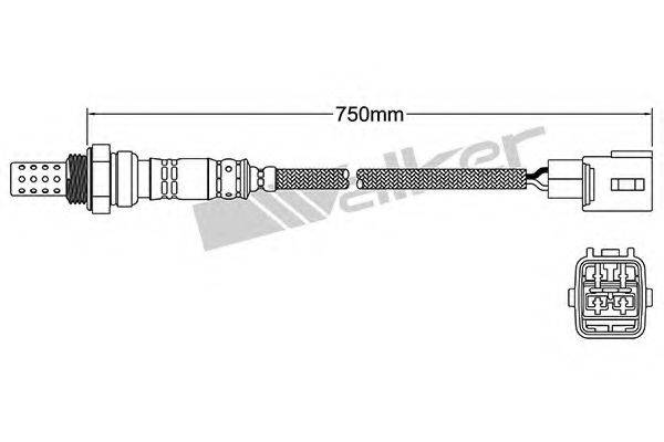 WALKER PRODUCTS 25024176 Лямбда-зонд