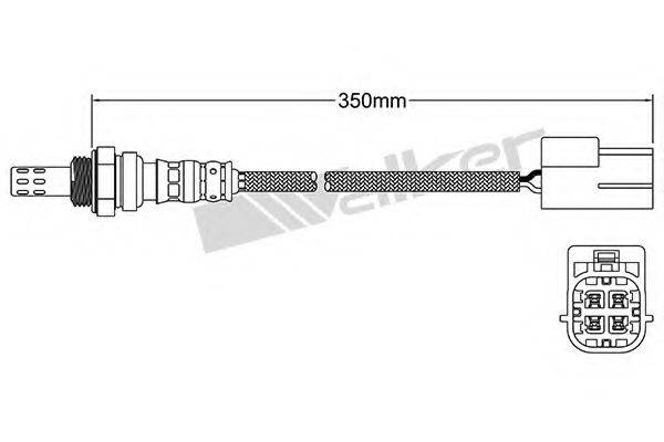 WALKER PRODUCTS 25024182 Лямбда-зонд