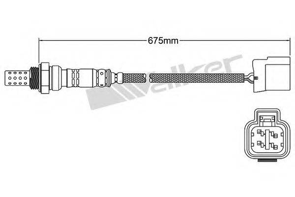 WALKER PRODUCTS 25024932 Лямбда-зонд