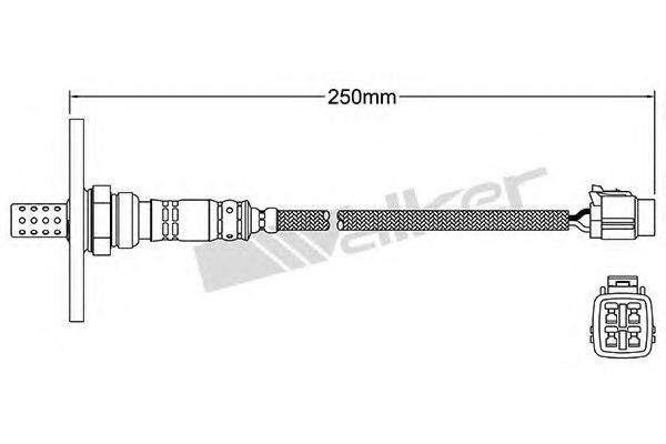 WALKER PRODUCTS 250-24059