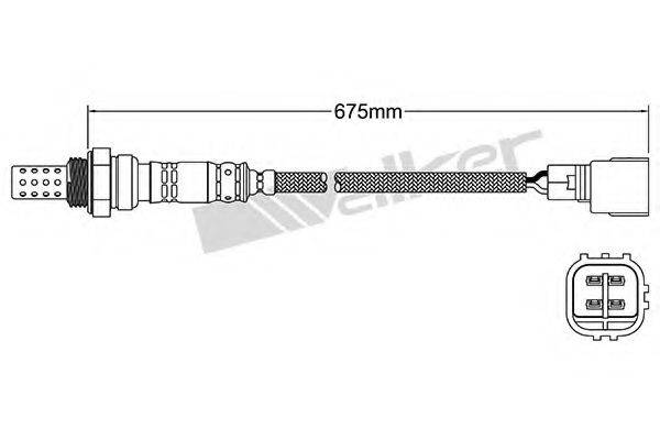 WALKER PRODUCTS 250-24969