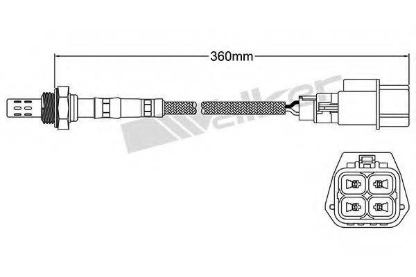 WALKER PRODUCTS 25024434 Лямбда-зонд