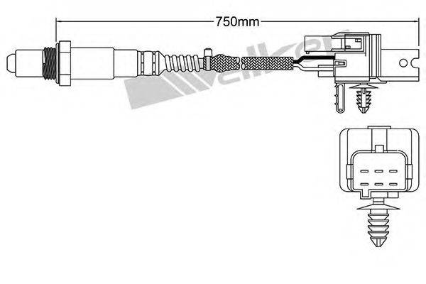 WALKER PRODUCTS 250-25079