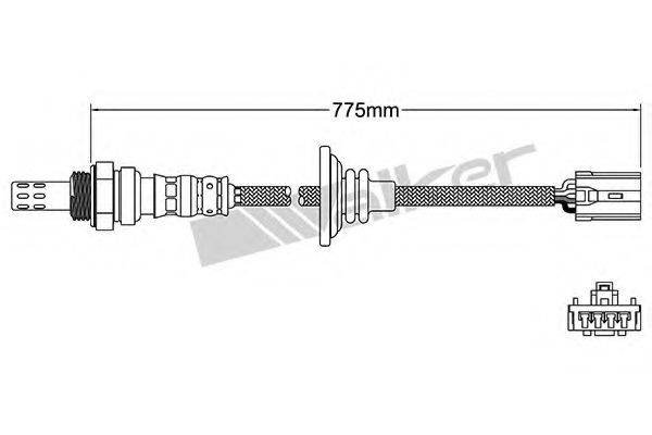 WALKER PRODUCTS 250-241020