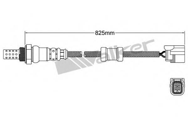 WALKER PRODUCTS 25024856 Лямбда-зонд