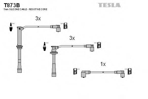 TESLA T873B