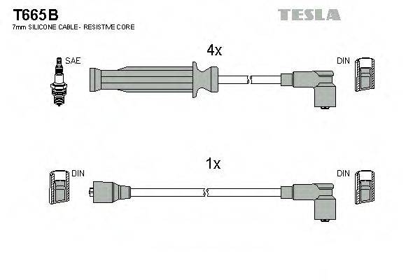 TESLA T665B