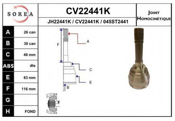 EAI CV22441K