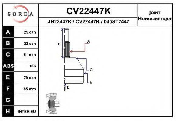 EAI CV22447K