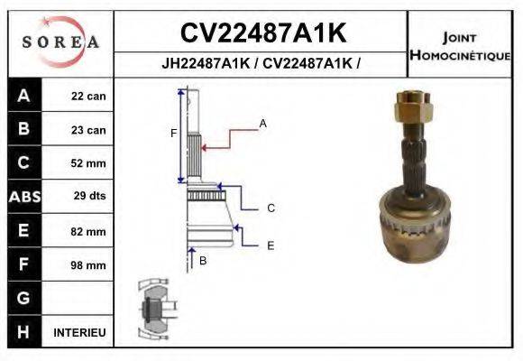 EAI CV22487A1K