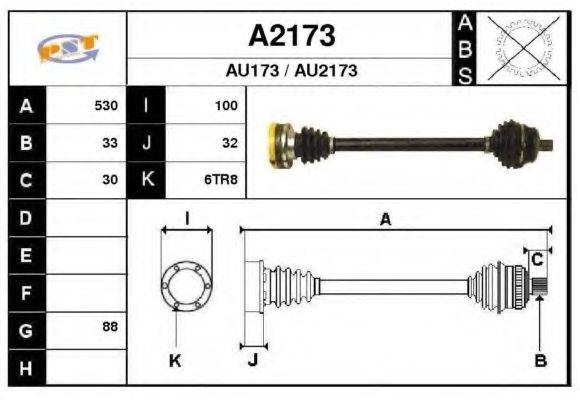 SNRA A2173