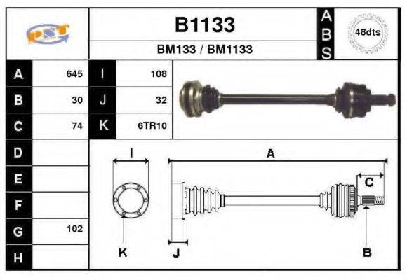 SNRA B1133