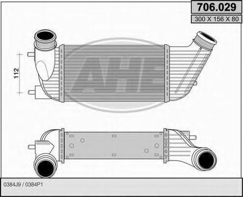 AHE 706029 Інтеркулер