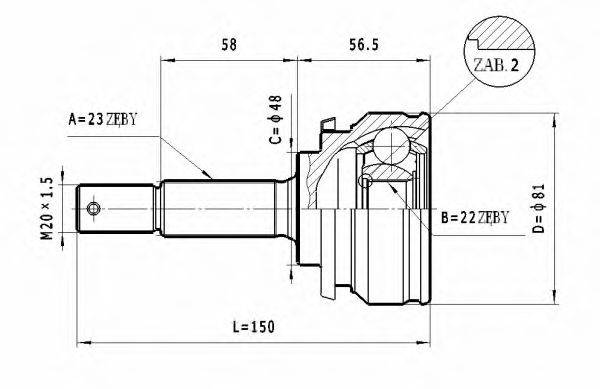 STATIM C.517