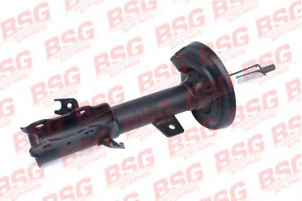 BSG BSG 30-300-031