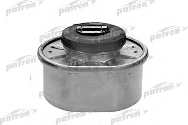 PATRON PSE3109