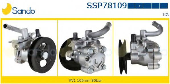 SANDO SSP781091 Гідравлічний насос, кермо