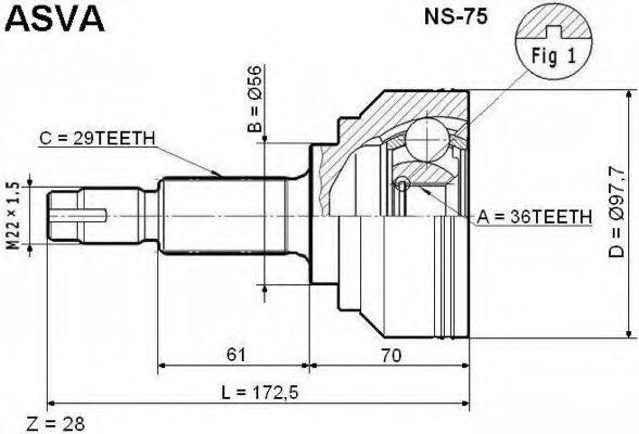 ASVA NS-75