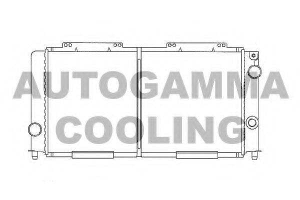 AUTOGAMMA 100003 Радіатор, охолодження двигуна