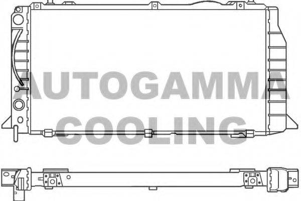 AUTOGAMMA 100046 Радіатор, охолодження двигуна