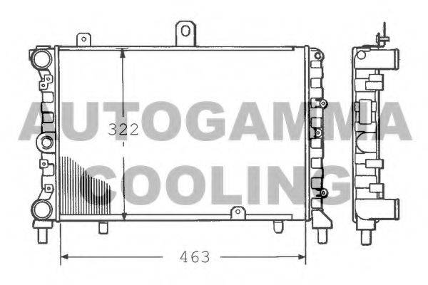 AUTOGAMMA 100450 Радіатор, охолодження двигуна