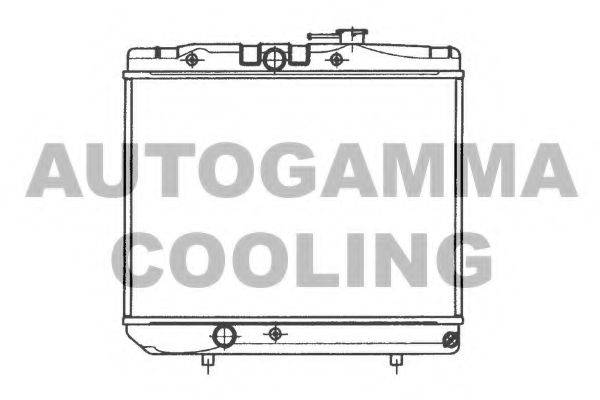 AUTOGAMMA 101029 Радіатор, охолодження двигуна